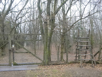 P1090216.jpg (210.5 KiB) 閲覧された回数 4070 回 フェンスとハシゴ