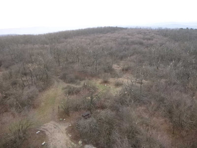 展望台から見たアイスストームの被害