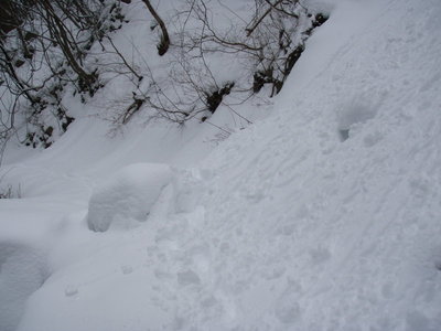 かくれ岩の手前の林道