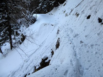 P1000657.JPG (213.91 KiB) 閲覧された回数 3240 回 崩落箇所-ここはそのまま通過できないので高巻き