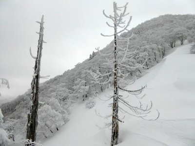 P1000698.JPG (149.75 KiB) 閲覧された回数 3241 回 杉峠にて