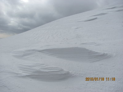大好きなシュカブラ