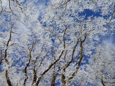 樹氷には青空が似合う