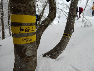芦谷山（866m）は通過点のような山頂だった