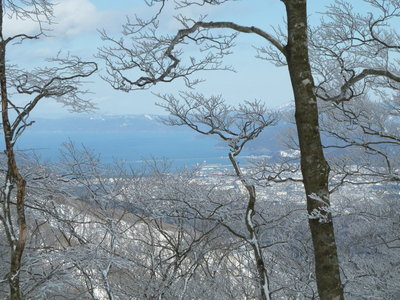 敦賀湾が美しい