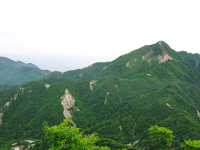 ● 三口尾根から鎌ケ岳、深緑一色になっちゃいました