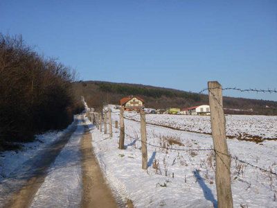 P1090354.jpg (79.46 KiB) 閲覧された回数 6148 回 広大な農地の横を歩いていく