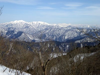 樹間に能郷白山と加賀白山が見えた！
