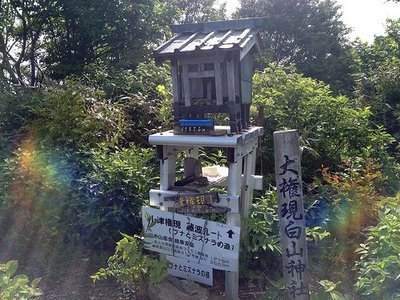 無雪期の大権現白山神社の祠