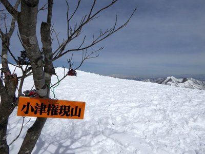 小津権現山のピーク