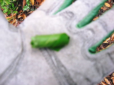 ● 自然からお手紙が着てるよ、なぜに地べたに落ちるんだろう？