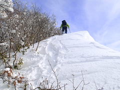もうすぐ山頂だ!