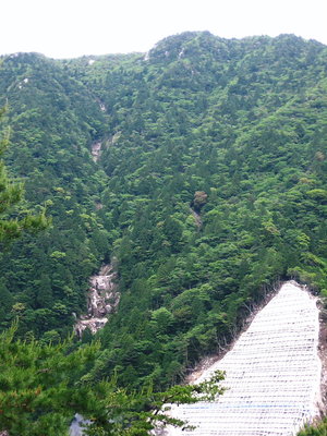 タコチ谷.JPG (183.46 KiB) 閲覧された回数 13238 回 ● タコチ谷、落ち着いてるみたいです。道路の所は堰堤ができてるです