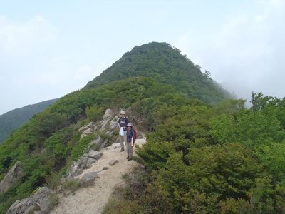 釈迦の耳たぶ.JPG (121.26 KiB) 閲覧された回数 13219 回 お釈迦様の耳たぶ上で(6/4)・・・・