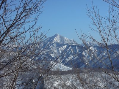 蕎麦粒.jpg (387.83 KiB) 閲覧された回数 5676 回 蕎麦粒が見えてきた