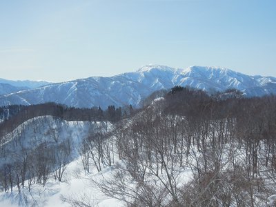 金糞北尾根.jpg (283.56 KiB) 閲覧された回数 5674 回 行って見たい金糞の北尾根