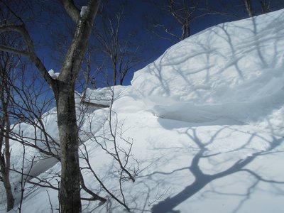 大きな雪庇.jpg (232.6 KiB) 閲覧された回数 5674 回 左の壁に取り付いた