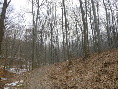 P1090548.jpg (166.63 KiB) 閲覧された回数 3019 回 美しい森