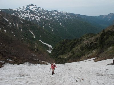 IMG_0469-s.JPG (102.77 KiB) 閲覧された回数 12104 回 もう一息だ、とっちゃんガンバ!ガンバ!