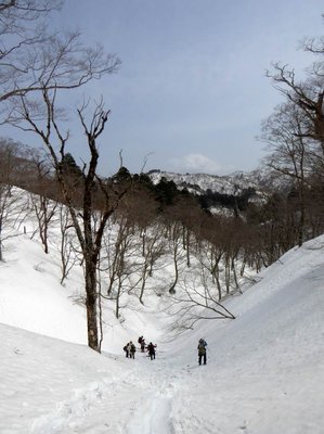 P1010623.JPG (129.06 KiB) 閲覧された回数 13846 回 太平の源頭部はこんな感じ