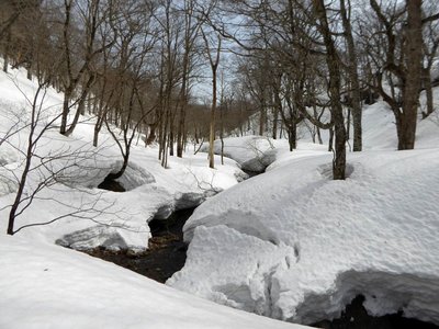 P1010637.JPG (255.4 KiB) 閲覧された回数 13846 回 源頭部も雪が溶け始めていた-このあたりは蛇行しています