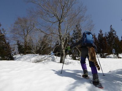 P1010601.JPG (203.58 KiB) 閲覧された回数 12042 回 biwa爺の後に付ける