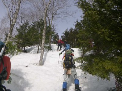 最初は植林の急登