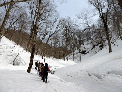 太平源頭部を行くやぶこぎ隊