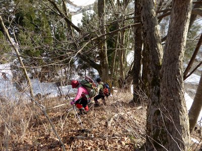 P1010658.JPG (401.02 KiB) 閲覧された回数 8927 回 最後のやぶこぎ急降下