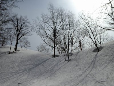 P1010645.JPG (260.68 KiB) 閲覧された回数 8959 回 尾根まで5mの不思議なところ