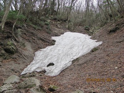 谷筋には残雪も