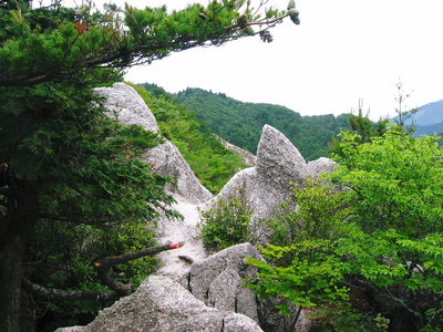 ● 岩場も一般化だよ