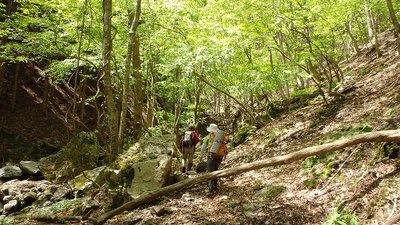 P5100026.jpg (170.13 KiB) 閲覧された回数 10614 回 新緑の奥山谷を行く