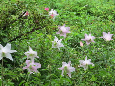 後姿も色っぽい？