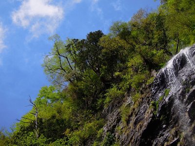 ヌタハラ奥峰滝(不動滝)の新緑。