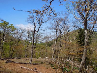 ルート外して、あしび山荘に水無山。