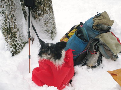 冬はダニが居ないから好いね