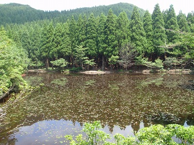 植林に囲まれた水舟の池（2012年8月）