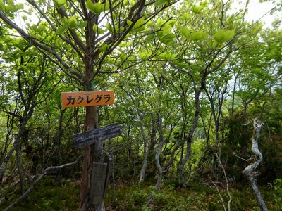カクレグラ（水谷岳）山頂－隠れ嵓という