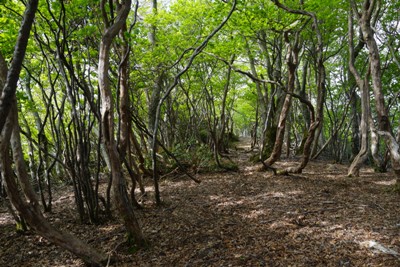 カクレグラ山頂<br />カクレグラ山頂