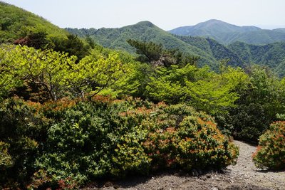 大峠からタイジョウ、綿向山