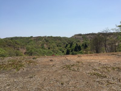 イブネ　銚子から