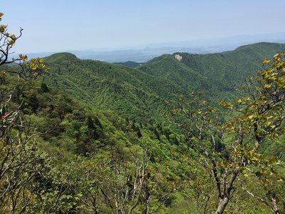 タイジョウとカクレグラ