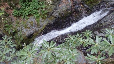 P5310505.jpg (191.85 KiB) 閲覧された回数 8917 回 この滝はもう下れない…