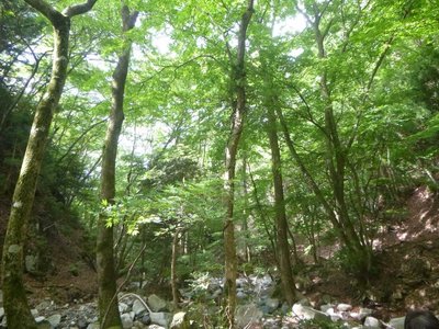 癒しの空間　稲ヶ谷