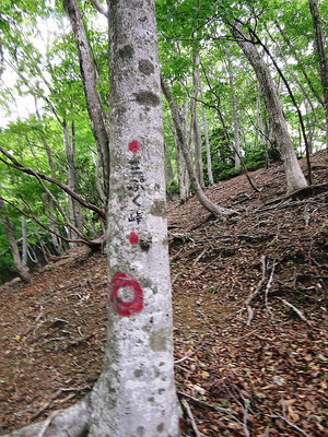 さんぷく峠ですか