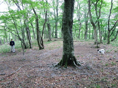 早く来るはお話がタップリできるもんね<br />オフ会とはそお言う趣旨だと理解が一致