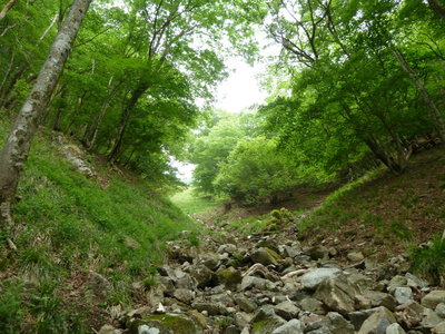 南尾根合流手前の右の谷