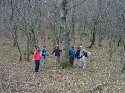 ブナを囲んで.jpg (141.39 KiB) 閲覧された回数 14003 回 懐かしい人 写真で笑う なにしてる<br />ひとよりコバ