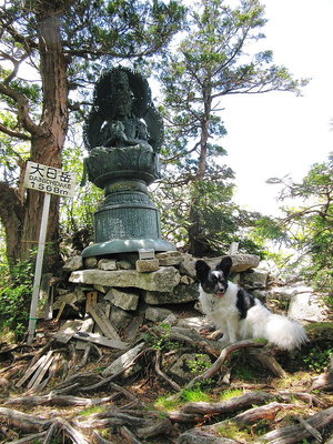 大日如来参拝 大峯は好いもんね